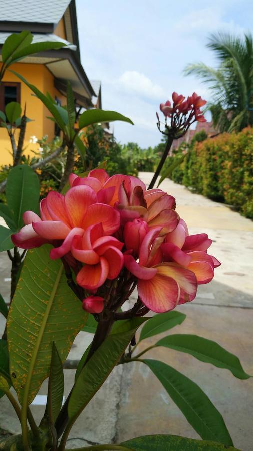 Baan Mek Lom Otel Khao Lak Dış mekan fotoğraf